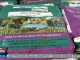 Avanza producción agrícola en El Salvador