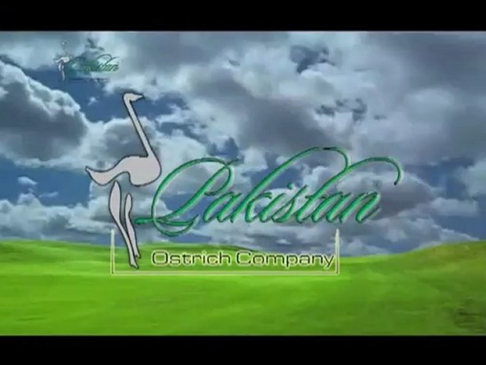 Pakistan Ostrich Company PakOstrich