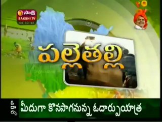 Sakshi - EMU birds in Palle Thalli