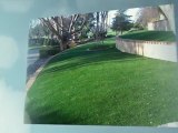 Eugene Oregon Synthetic Turf and Artificial Grass