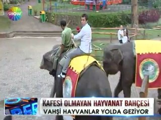 Endonezya'da kafesi olmayan hayvanat bahçesi - 29 mayıs 2012