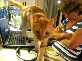 Doña Manuela 02: su servicio técnico de ayuda al usuario