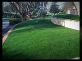 Medford Oregon Synthetic Turf and Artificial Grass