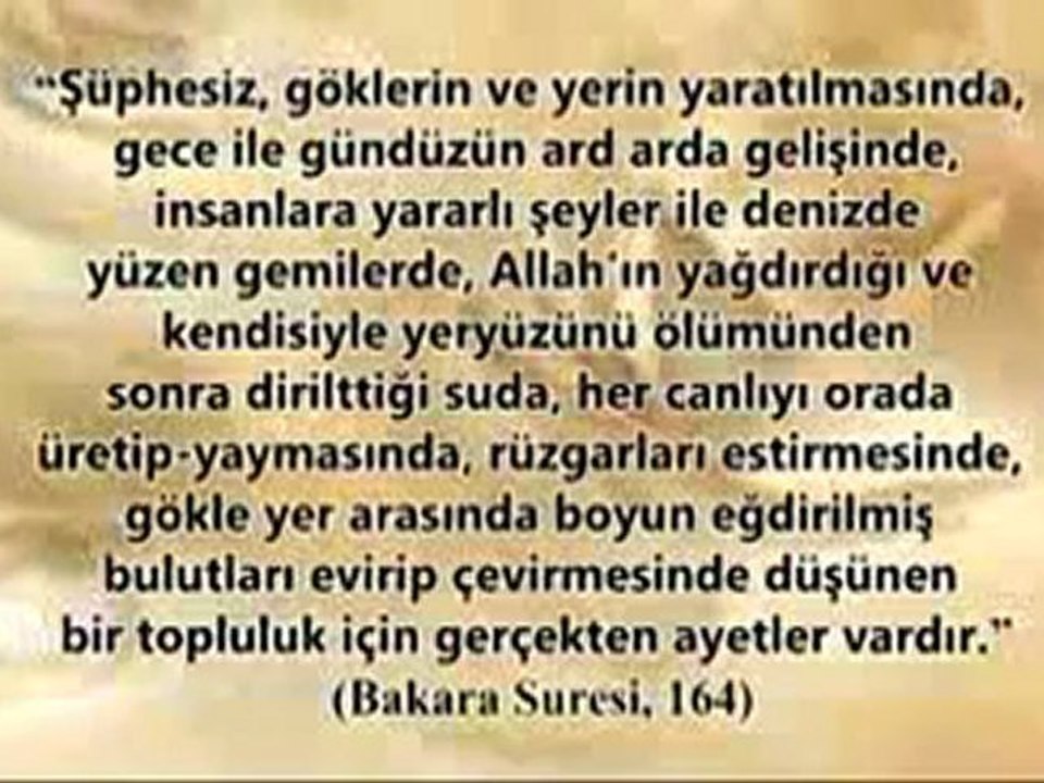 AYAKLARINIZDAKİ MÜKEMMEL YARATILIŞIN FARKINDA MISINIZ?