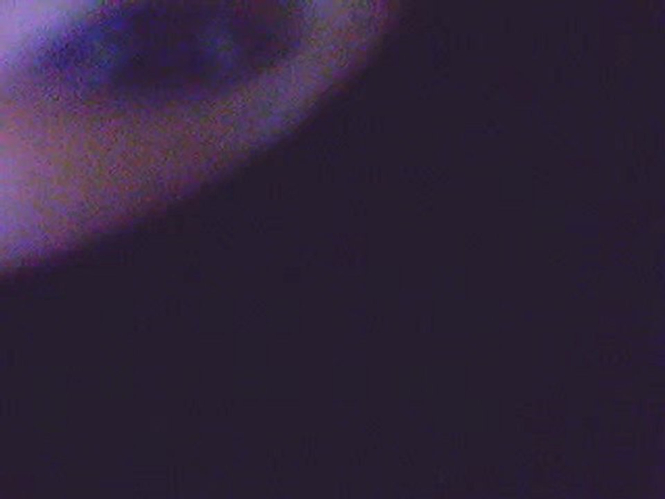 JE NARIVE PAS A LOUBLIER