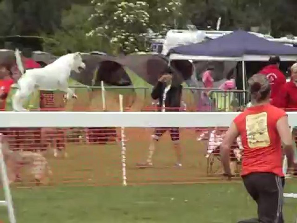 braxi trophée 2012