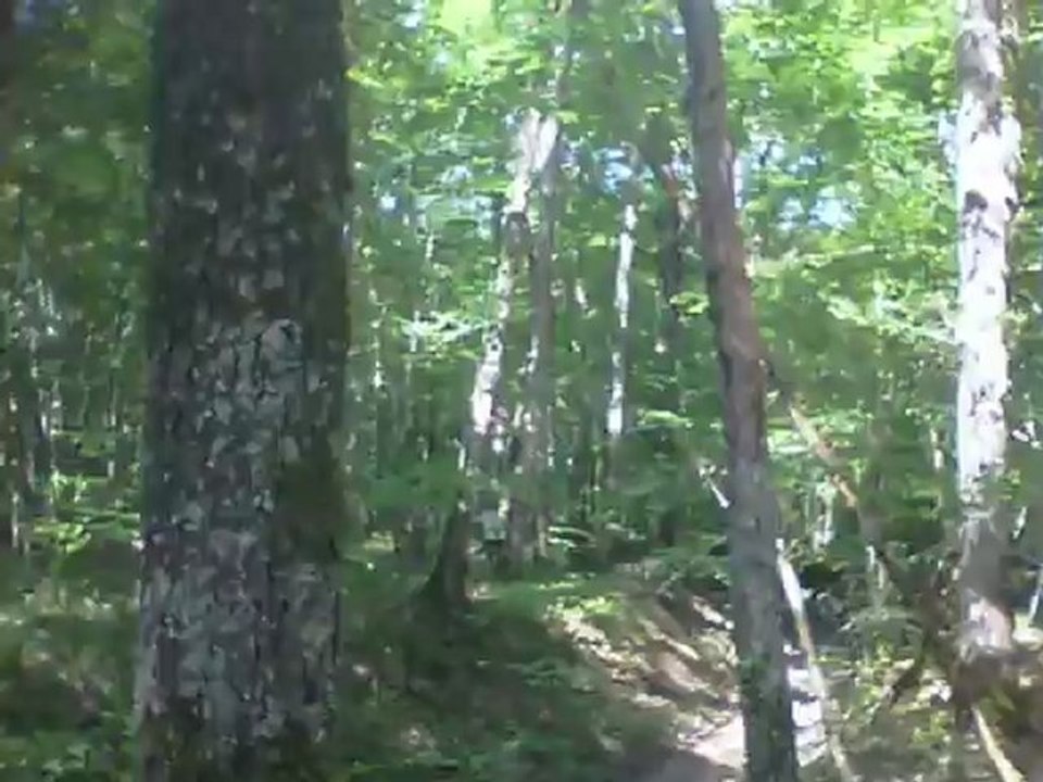 QUAD 01