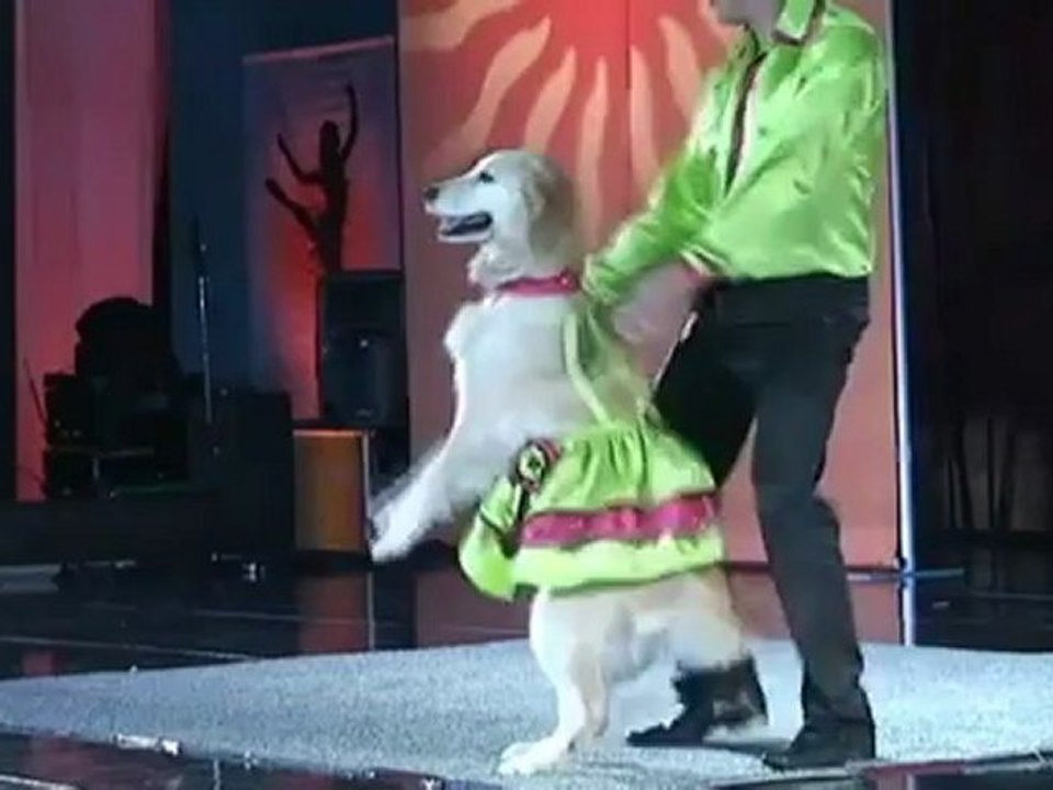 Carrie, una perrita con talento