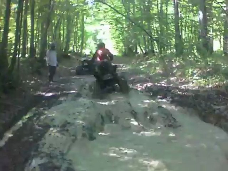 quad 04