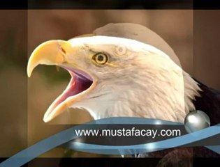 Bir Kartalın Yeniden Doğuşu [Değişim Süreci]