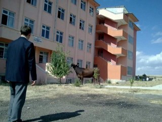 12 Fen/A (Nası Nası La)