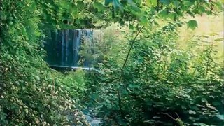 Astbury Falls Lodges - Shropshire