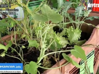 Le reportage du Journal DIVERSION TV durant les derniers préparatifs de On sème !