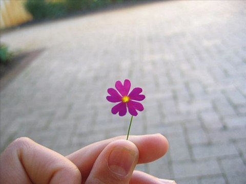 Ali Abbas ASLANTÜRK ağlatma gelem