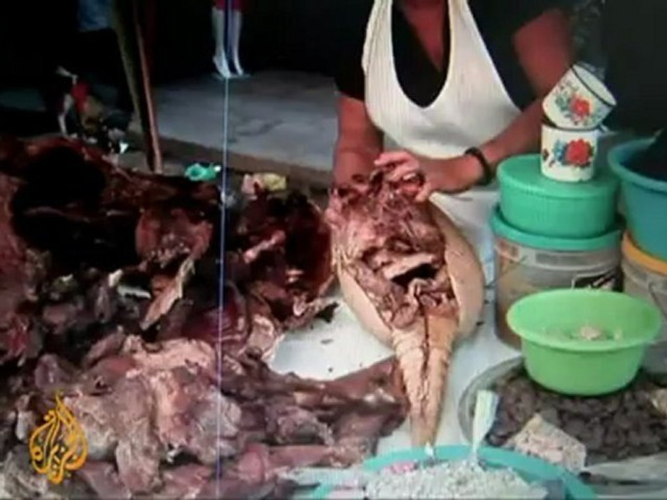 Peru battles animal trafficking