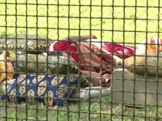 Catorze mil desabrigados na Itália