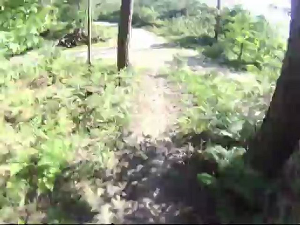 VTT Haute Normandie Forêt du Madrillet (76) Mai 2012