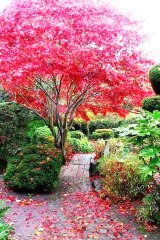 masaj salonu masoz kadıköy istanbul anadolu  masaj salonlar