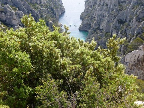 CALANQUES DE CASSIS