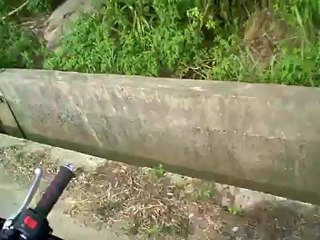 Police Bust M13 for Chocolate Truffles