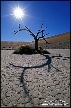 masaj salonu masoz kadıköy istanbul anadolu masaj salonu masoz
