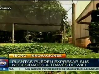 Sustituyen cadáveres reales por virtuales, para autopsias