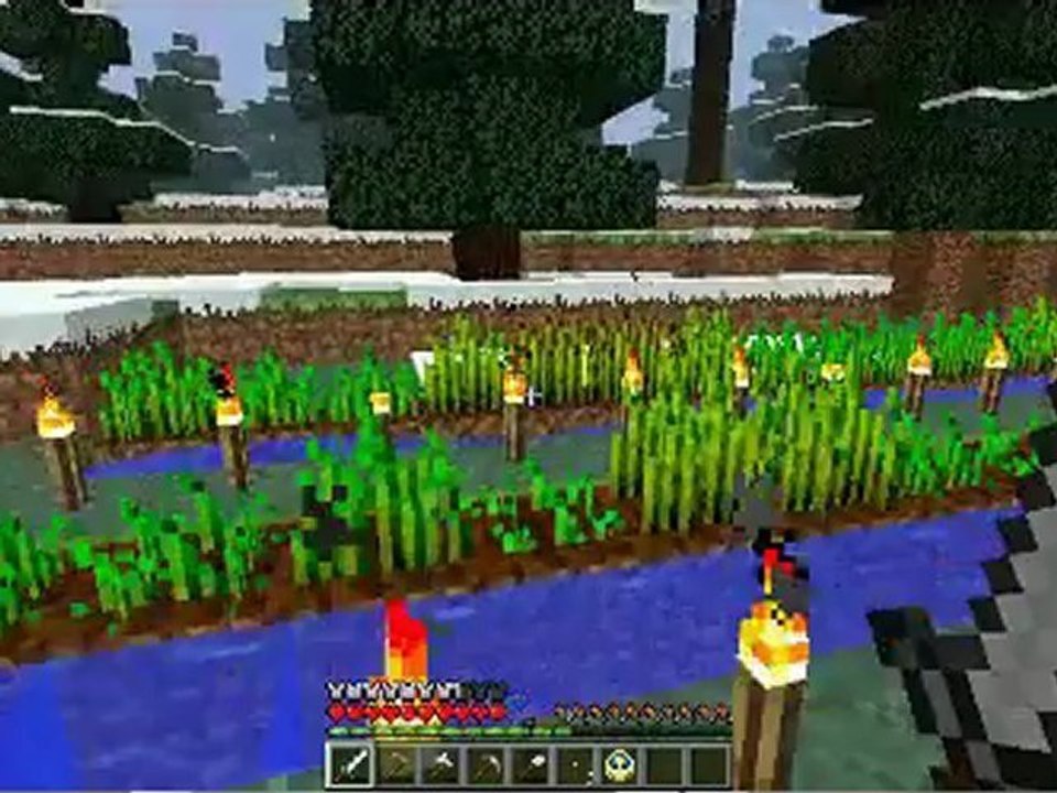 Maison Minecraft