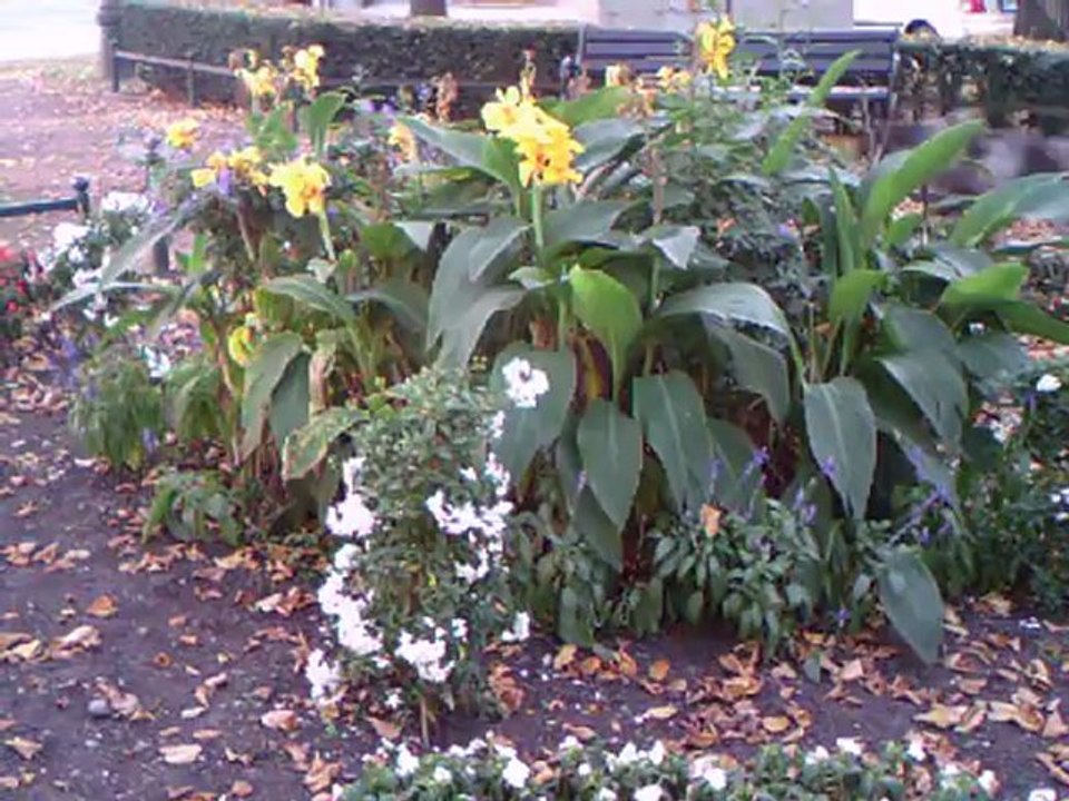 Auf großer Tour durch NRW 2011