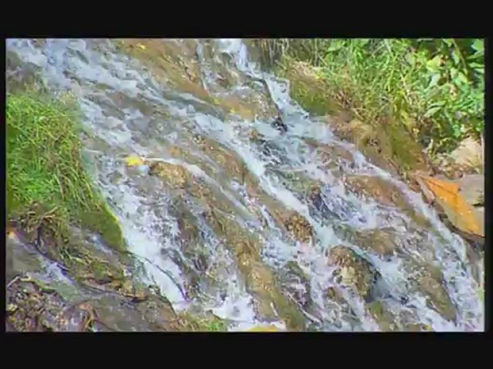 Mahmut Erdal - Birgün Anlarsın