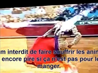 L'hypocrisie contestée sur la souffrance animale