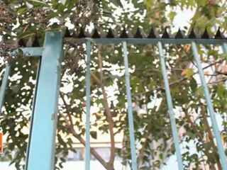 Villes Rebelles - Au lycée Javiera Carrera