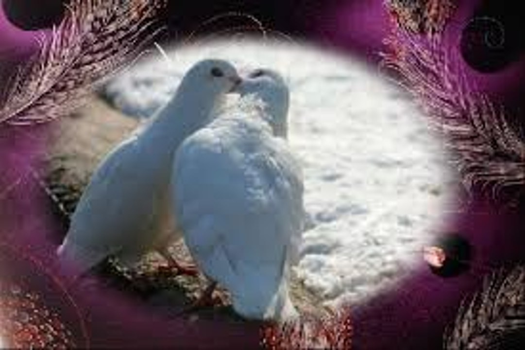 masaj salonu masoz kadıköy istanbul anadolu  masaj salonu masoz