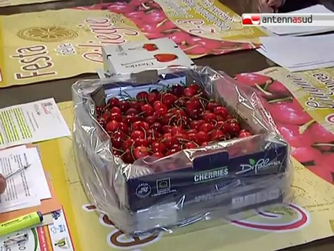 TG 30.05.12 Tutto pronto a Conversano per la Festa delle ciliegie