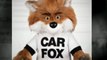 Read A CARFAX Report Before Buying A New Used Car
