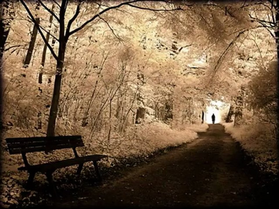 ÖZCAN BAL-SENSİZ YAŞAYAMAM-SÖZ-MÜZİK;ÖZCAN BAL