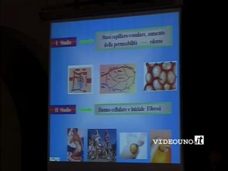 Secondo intervento medico specialista-Fashion Show La Grazia delle Gambe