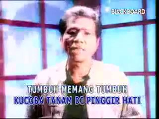 MEGGI Z MAHAL by cep_dodoy.dailymotion.com-