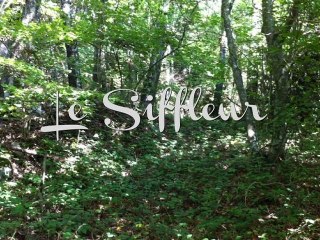 Le siffleur dans les bois