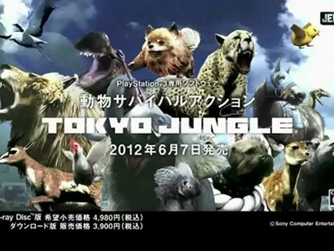 Tokyo Jungle : chihuahua trailer