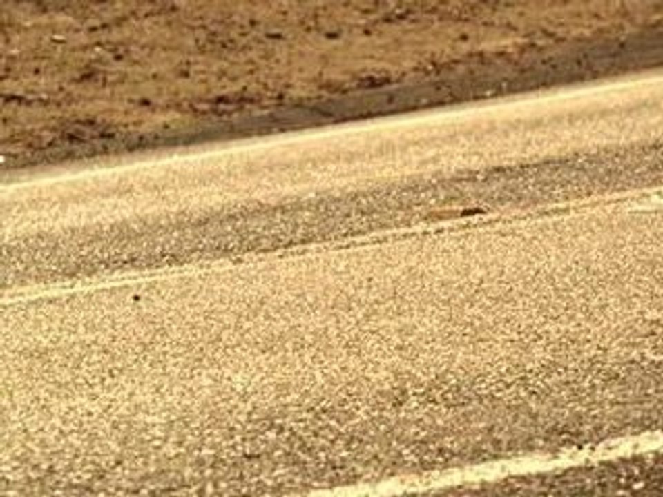 L'auto stoppeur