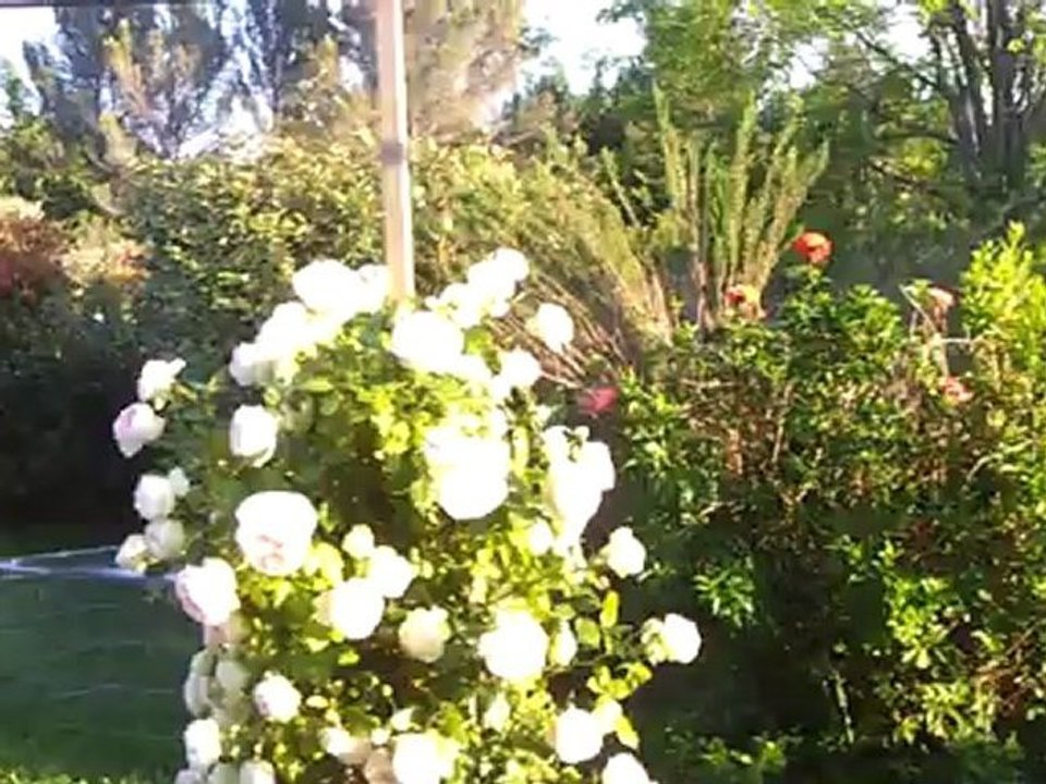 MAISON ROGNES 575000 JARDIN