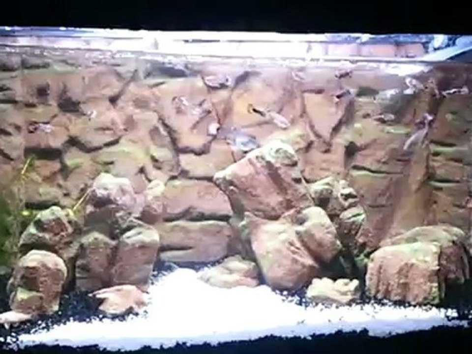 20120529_094331