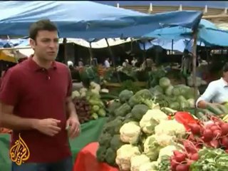 Honduran economy faces challenges - 28 Nov 09