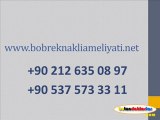 Böbrek Kanseri Nedenleri,Böbrek Kanseri Belirtileri,Böbrek Kanseri Nedir,Böbrek Kanseri Evreleri