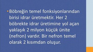 Böbrek Kanseri Tedavisi,Böbrek Kanseri Kemoterapi,Böbrek Kanseri Evreleri,Böbrek Kanseri