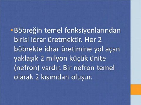 Böbrek Kanseri Tedavisi,Böbrek Kanseri Kemoterapi,Böbrek Kanseri Evreleri,Böbrek Kanseri