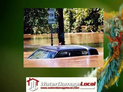 Locla Water Mitigation in Clarkton, North Carolina