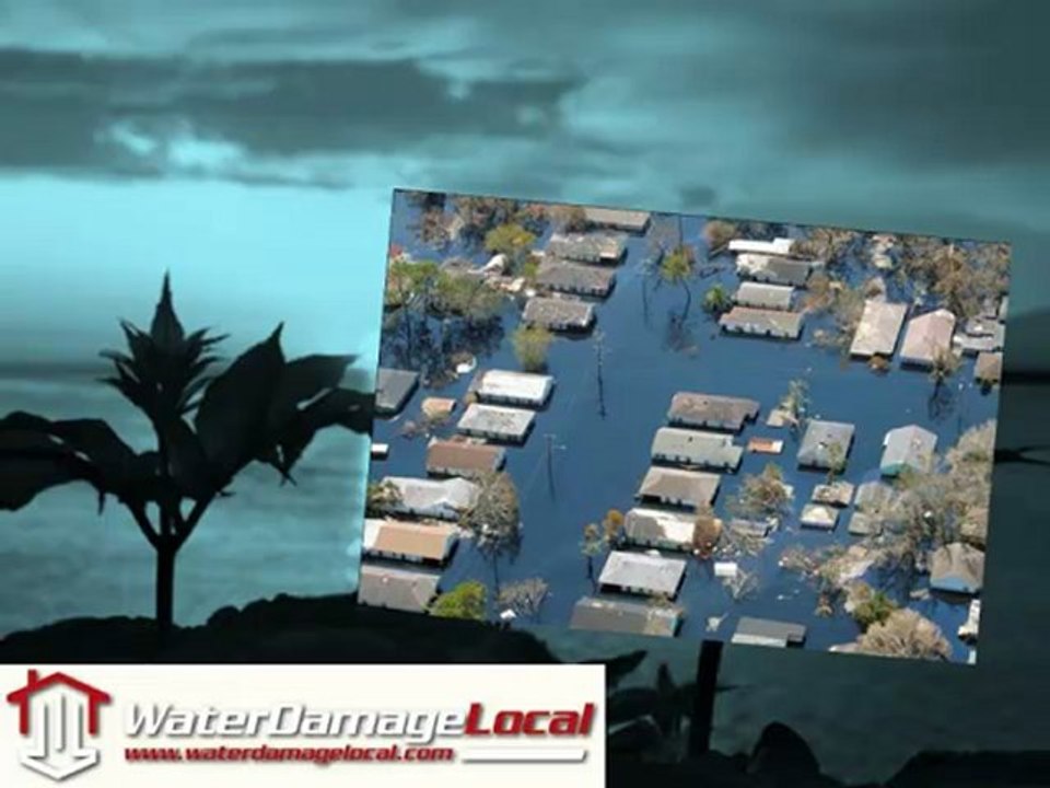 Wilmington, North Carolina - Local Water Damage Restoration