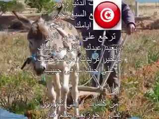 بكتب اسمك يا بلادي_ الصخيرة 2012_رضا