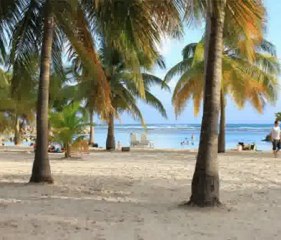 Villaplage Location de vacances en Guadeloupe